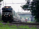 NS 8116